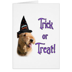 Airredale Terrier Trick