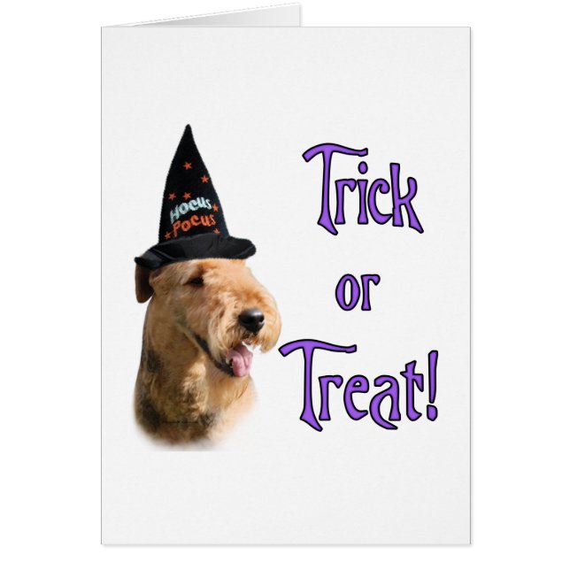 Airredale Terrier Trick (Voorkant)