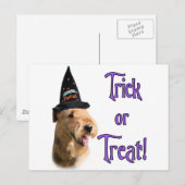 Airredale Terrier Trick Briefkaart (Voorkant / Achterkant)