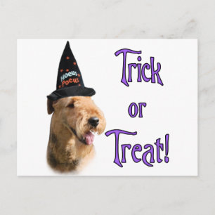 Airredale Terrier Trick Briefkaart