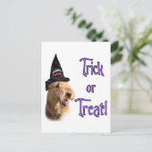 Airredale Terrier Trick Briefkaart (Staand voorkant)