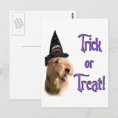 Airredale Terrier Trick Briefkaart (Voorkant / Achterkant)