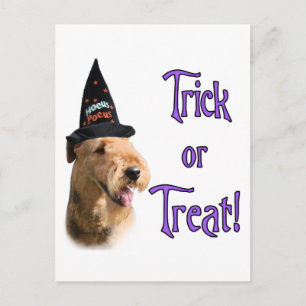 Airredale Terrier Trick Briefkaart