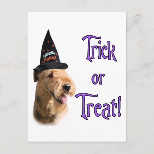 Airredale Terrier Trick Briefkaart (Voorkant)