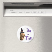 Airredale Terrier Trick Magneet (Insitu (Vaatwasser))