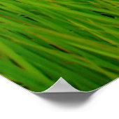 Airsofter in blades of sawgrass poster (Hoek)