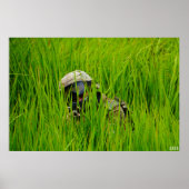 Airsofter in blades of sawgrass poster (Voorkant)