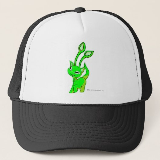 Aisha Ggloing Trucker Pet (Voorkant)