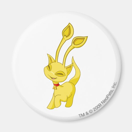 Aisha Gold Magneet (Voorkant)