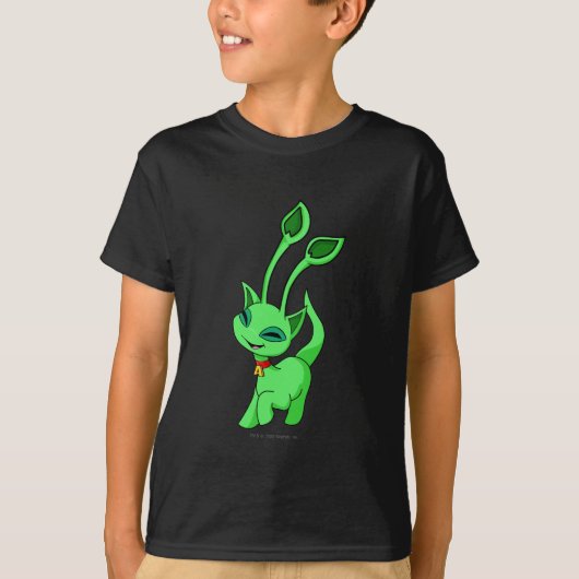 Aisha Green T-shirt (Voorkant)
