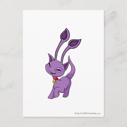Aisha Purple Briefkaart (Voorkant)