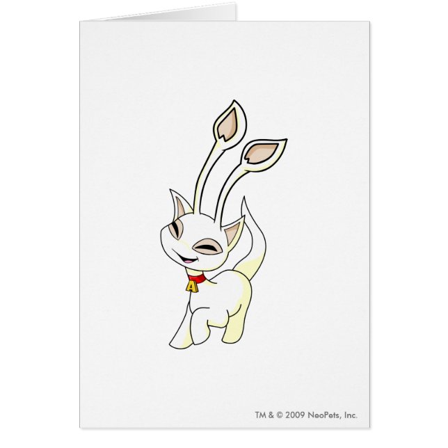 Aisha White (Voorkant)