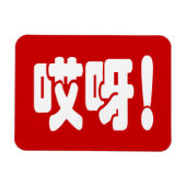 Aiya. 哎 呀! OMG! Chinese Hanzi-taal Magneet (Horizontaal)
