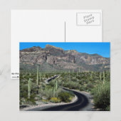 Ajo Mountains, Organ Pipe Cactus National Monument Briefkaart (Voorkant / Achterkant)