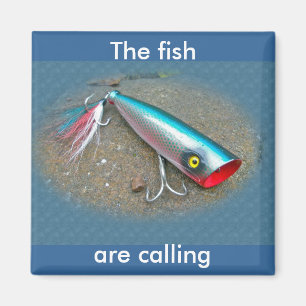 AJS Saltwater Lure Popper Blue Dragon Items Magneet