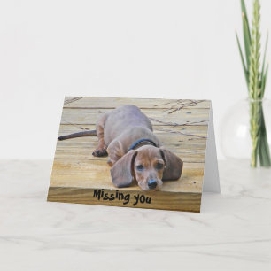 AK- Funny Dachshund Ontbrekende You Card Kaart
