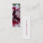 AK- Visitekaartjes van het rode en witte Bladwijze (Voorkant / Achterkant)