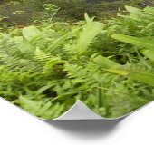 Akaka-Herfsten, Hamakua Coast, Hawaï, Poster (Hoek)