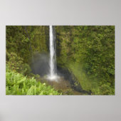 Akaka-Herfsten, Hamakua Coast, Hawaï, Poster (Voorkant)