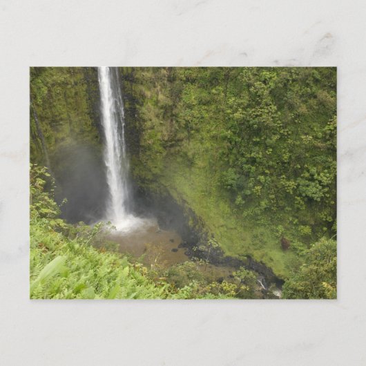 Akaka-waterval, Hamakua-kust, eiland Hawaii, Briefkaart (Voorkant)