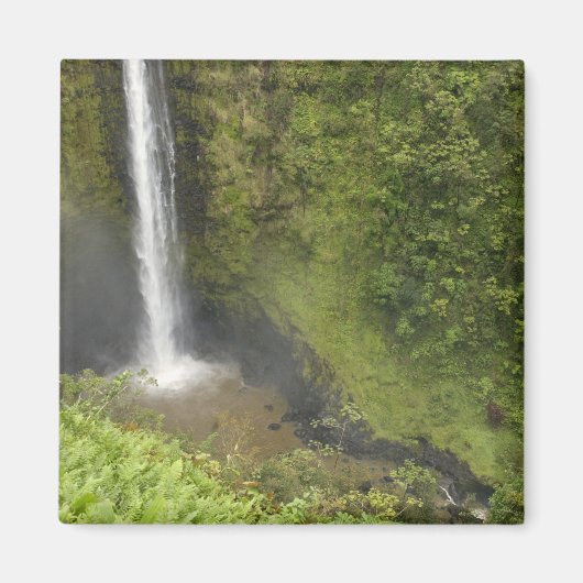 Akaka-waterval, Hamakua-kust, eiland Hawaii, Magneet (Voorkant)