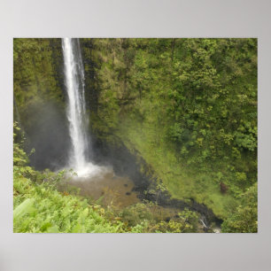 Akaka-waterval, Hamakua-kust, eiland Hawaii, Poster