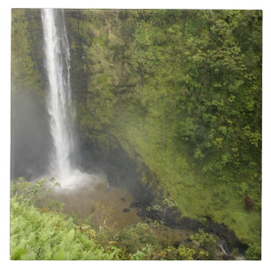 Akaka-waterval, Hamakua-kust, eiland Hawaii, Tegeltje