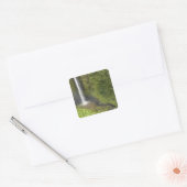 Akaka-waterval, Hamakua-kust, eiland Hawaii, Vierkante Sticker (Envelop)