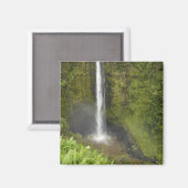 Akaka-waterval, Hamakua-kust, eiland van Hawaï, Magneet (Voorkant / Achterkant)