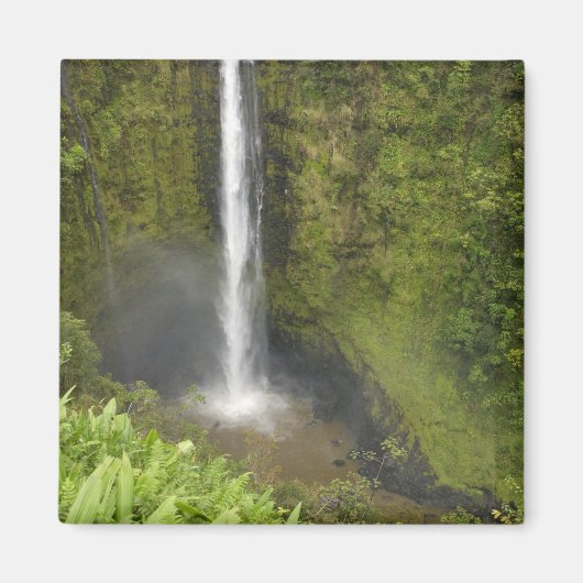 Akaka-waterval, Hamakua-kust, eiland van Hawaï, Magneet (Voorkant)