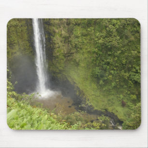 Akaka-waterval, Hamakua-kust, eiland van Hawaï, Muismat