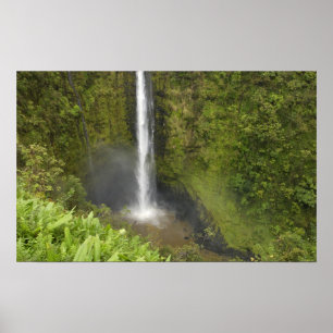 Akaka-waterval, Hamakua-kust, eiland van Hawaï, Poster