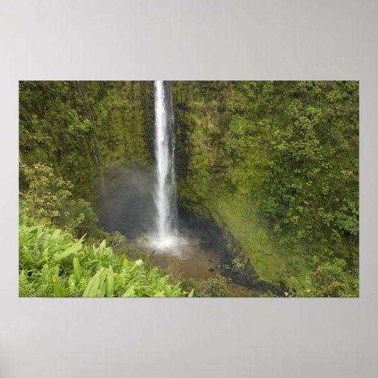 Akaka-waterval, Hamakua-kust, eiland van Hawaï, Poster (Voorkant)