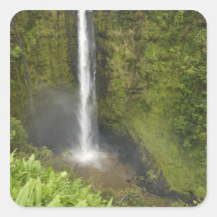 Akaka-watervallen, Hamakua-kust, eiland Hawaii, Vierkante Sticker