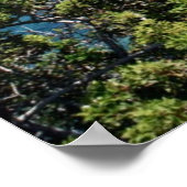 Akamas Peninsula Poster (Hoek)