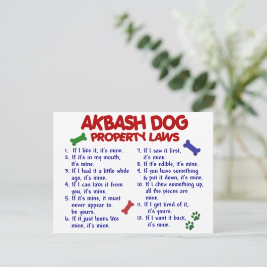 AKBASH DOG Property Laws 2 Briefkaart (Staand voorkant)