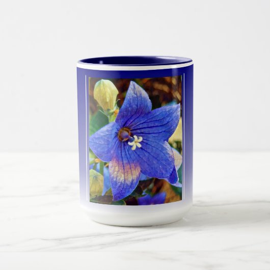 Akechi Mitsuhide [Combo Mok] Mok (Midden)