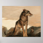 Akela De Lone Wolf van Maurice en Edward Detmold Poster (Voorkant)