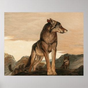 Akela De Lone Wolf van Maurice en Edward Detmold Poster