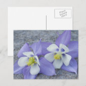 Akeleibloemen Briefkaart (Voorkant / Achterkant)