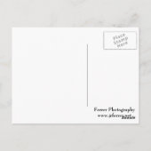 Akeleibloemen Briefkaart (Achterkant)