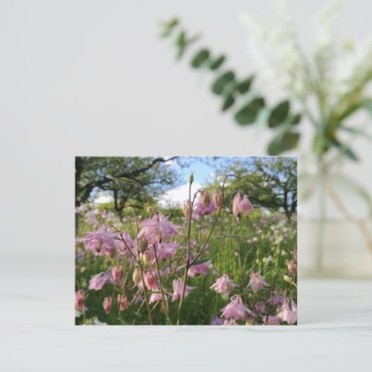 Akeleien Wiese unter Apfelbäumen Briefkaart (Staand voorkant)