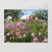 Akeleien Wiese unter Apfelbäumen Briefkaart (Voorkant)