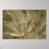 Akene close-up poster (Voorkant)