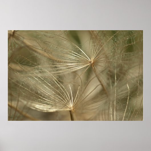 Akene close-up poster (Voorkant)