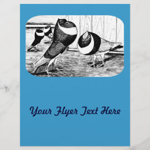 Akense Bandkappers Duiven Flyer