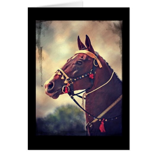 Akhal Teke (Voorkant)