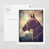 Akhal Teke Briefkaart (Voorkant / Achterkant)