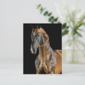 Akhal-Teke Horse Briefkaart (Staand voorkant)