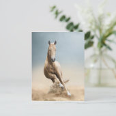 Akhal-Teke Horse Briefkaart (Staand voorkant)